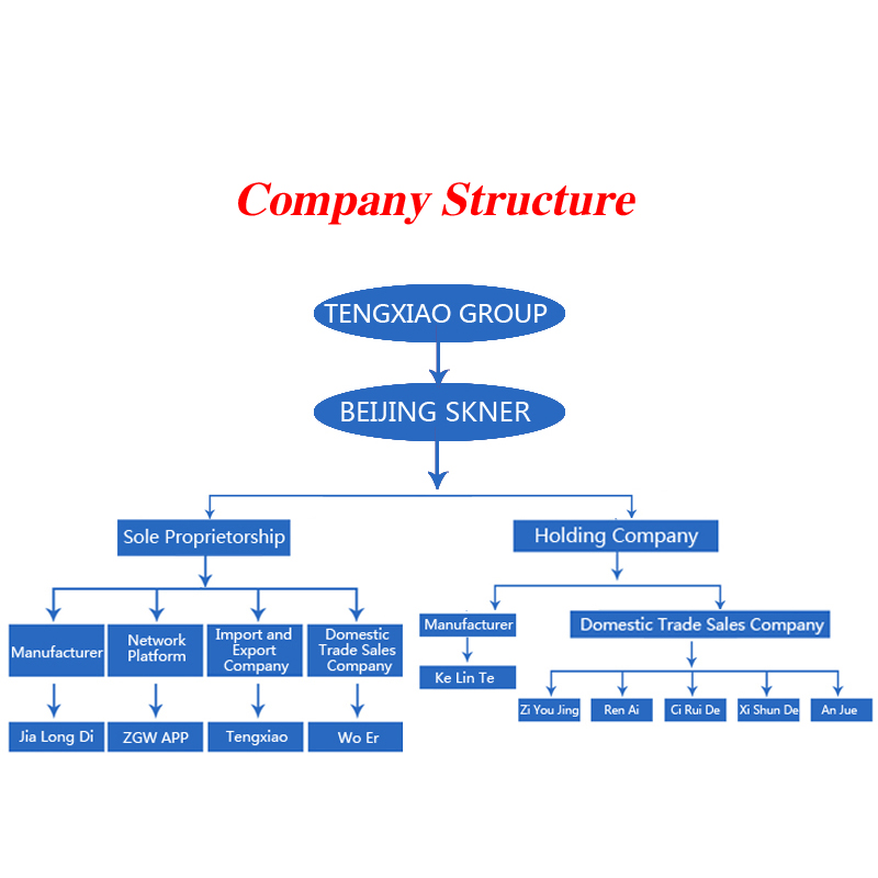 Company Structure